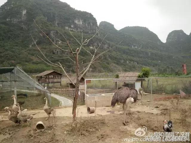 南宁十大最美农家乐推荐,南宁周边烧烤野炊前十排行