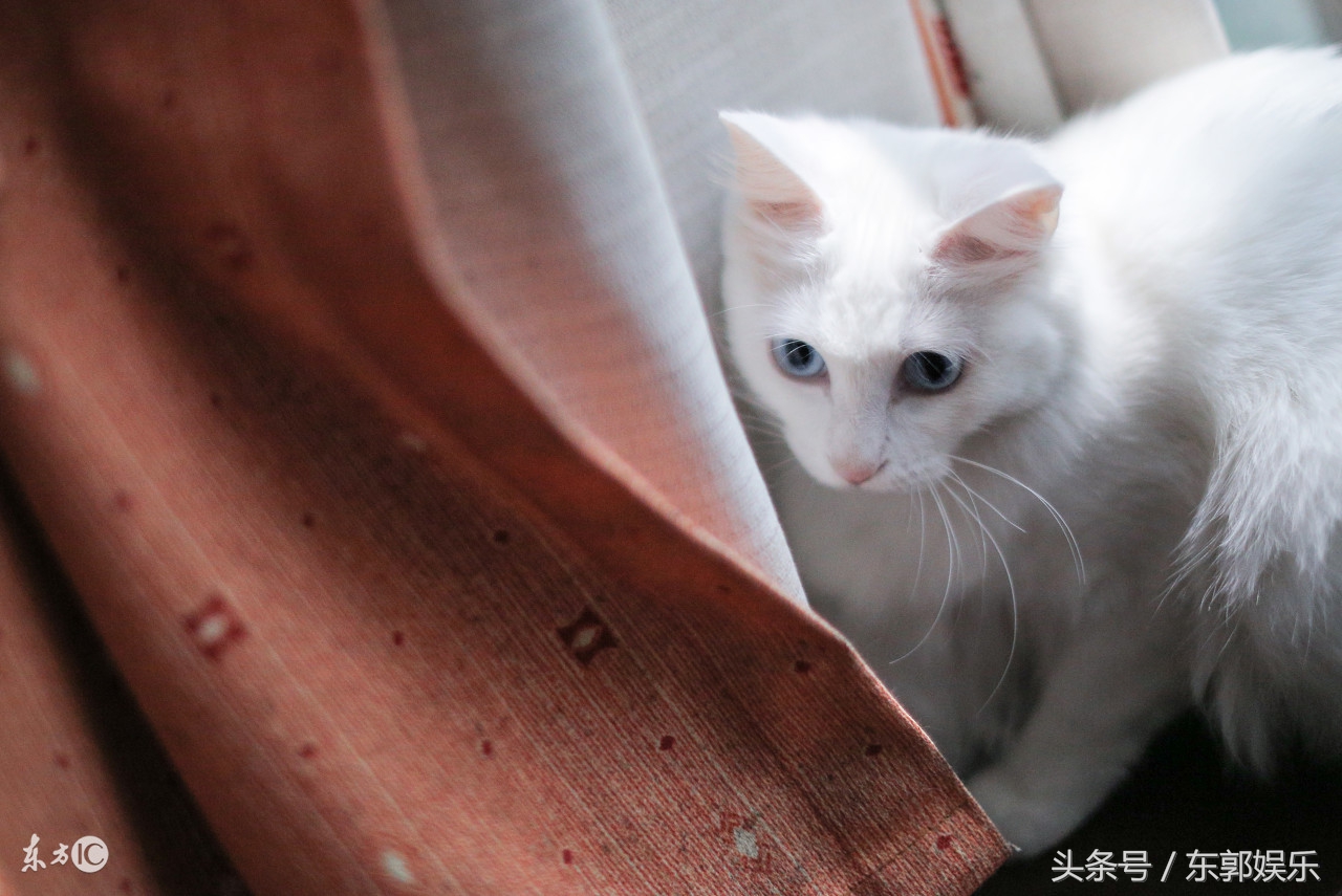 平时很少去思考它们的存在的知识，今天终于知道这些知识了