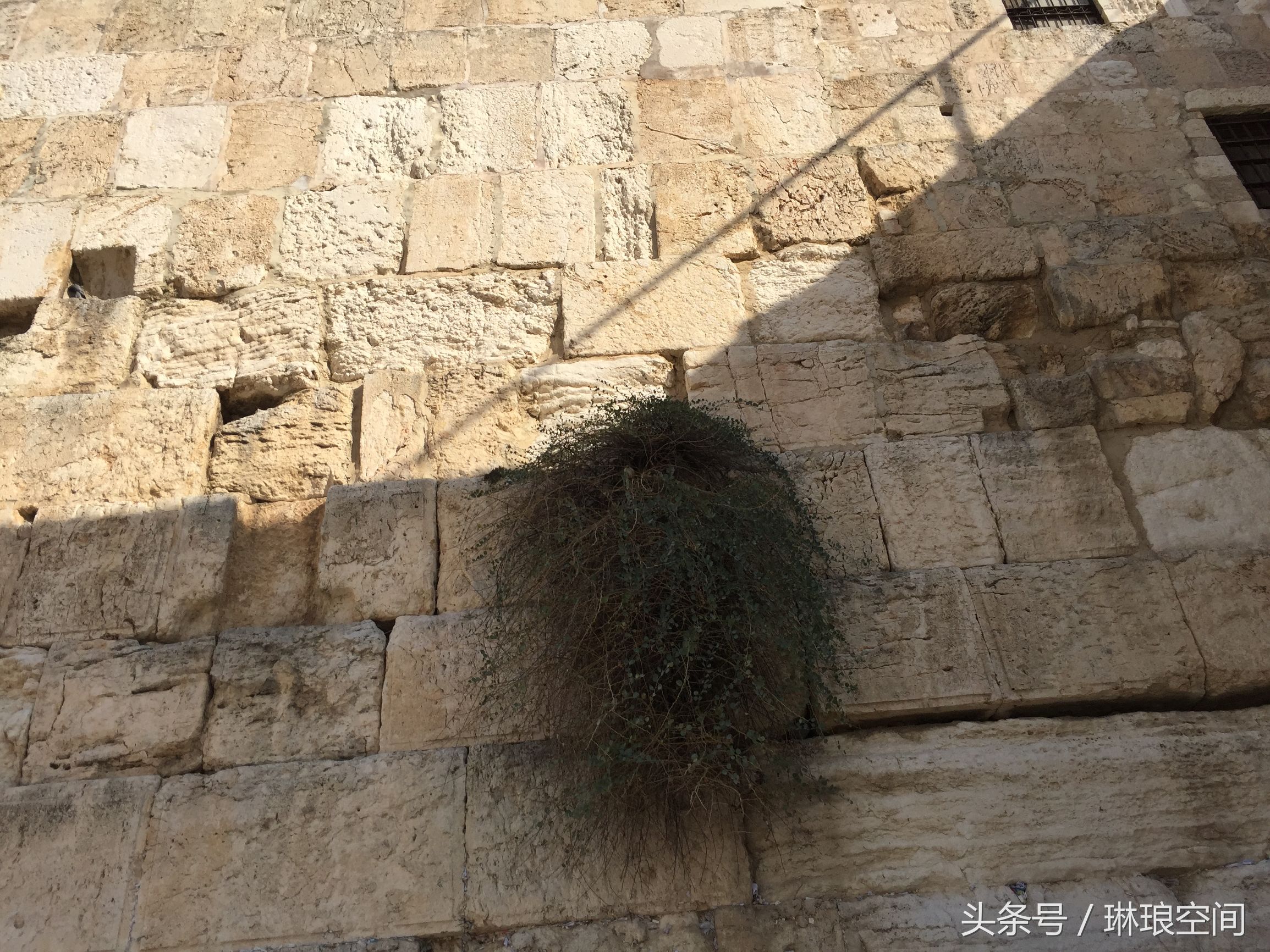 走进以色列看耶路撒冷第三次圣殿 (走进以色列耶路撒冷)