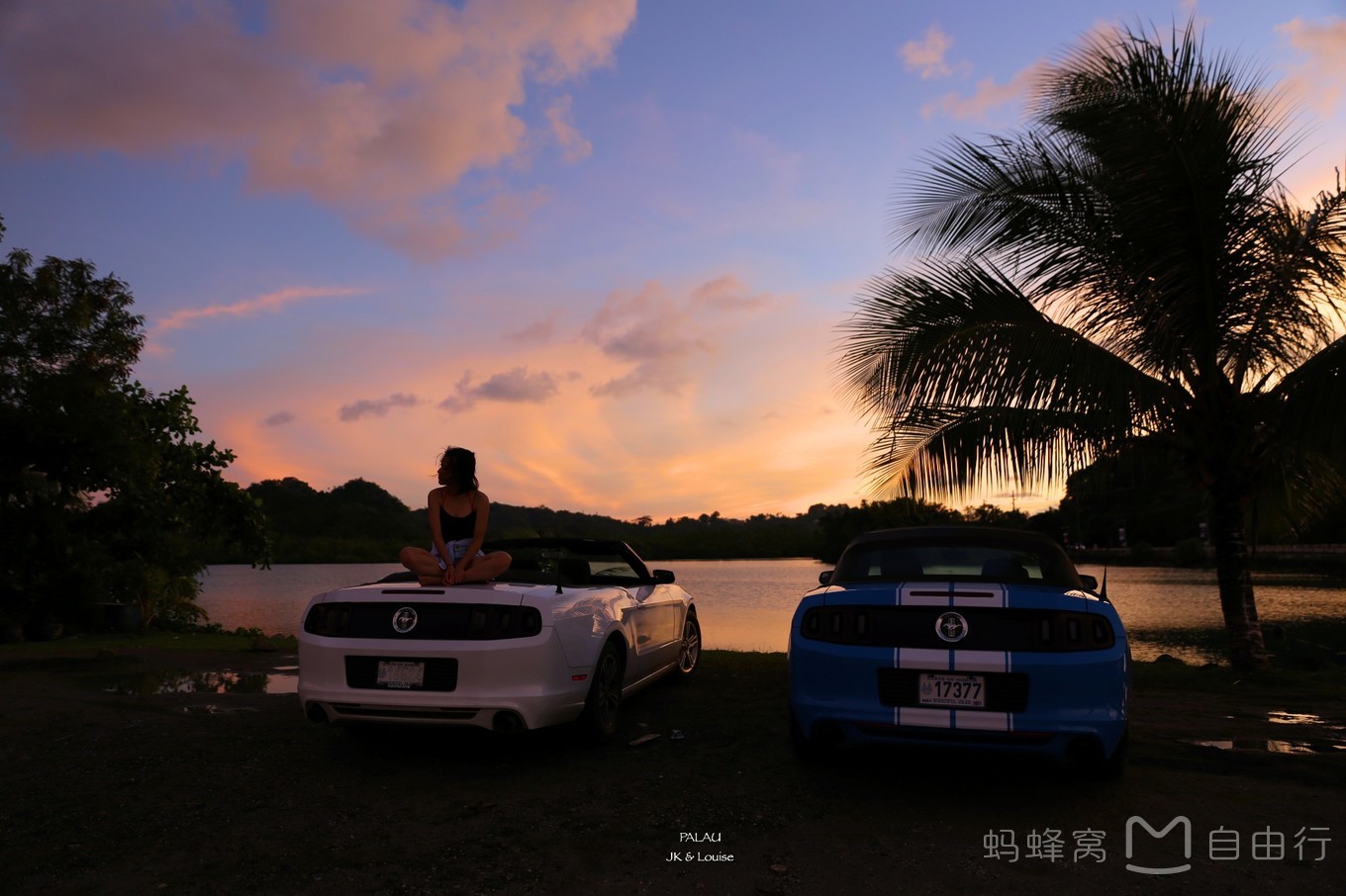 帕劳出海自由行,帕劳坐船旅游攻略