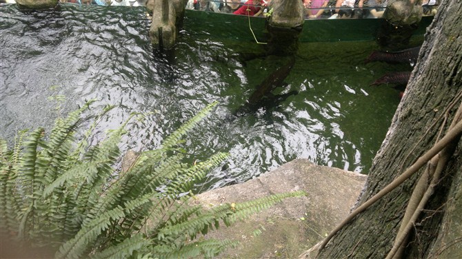 深圳青青世界图片,深圳青青世界校服