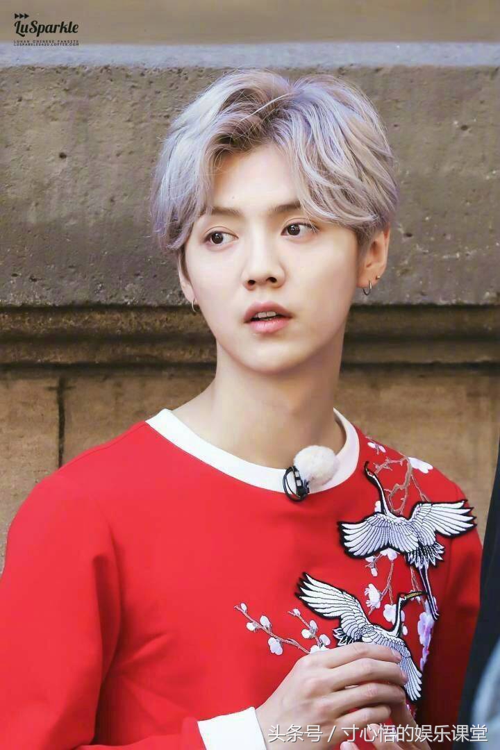 鹿晗q版图片卷发,鹿晗的q版萌图片