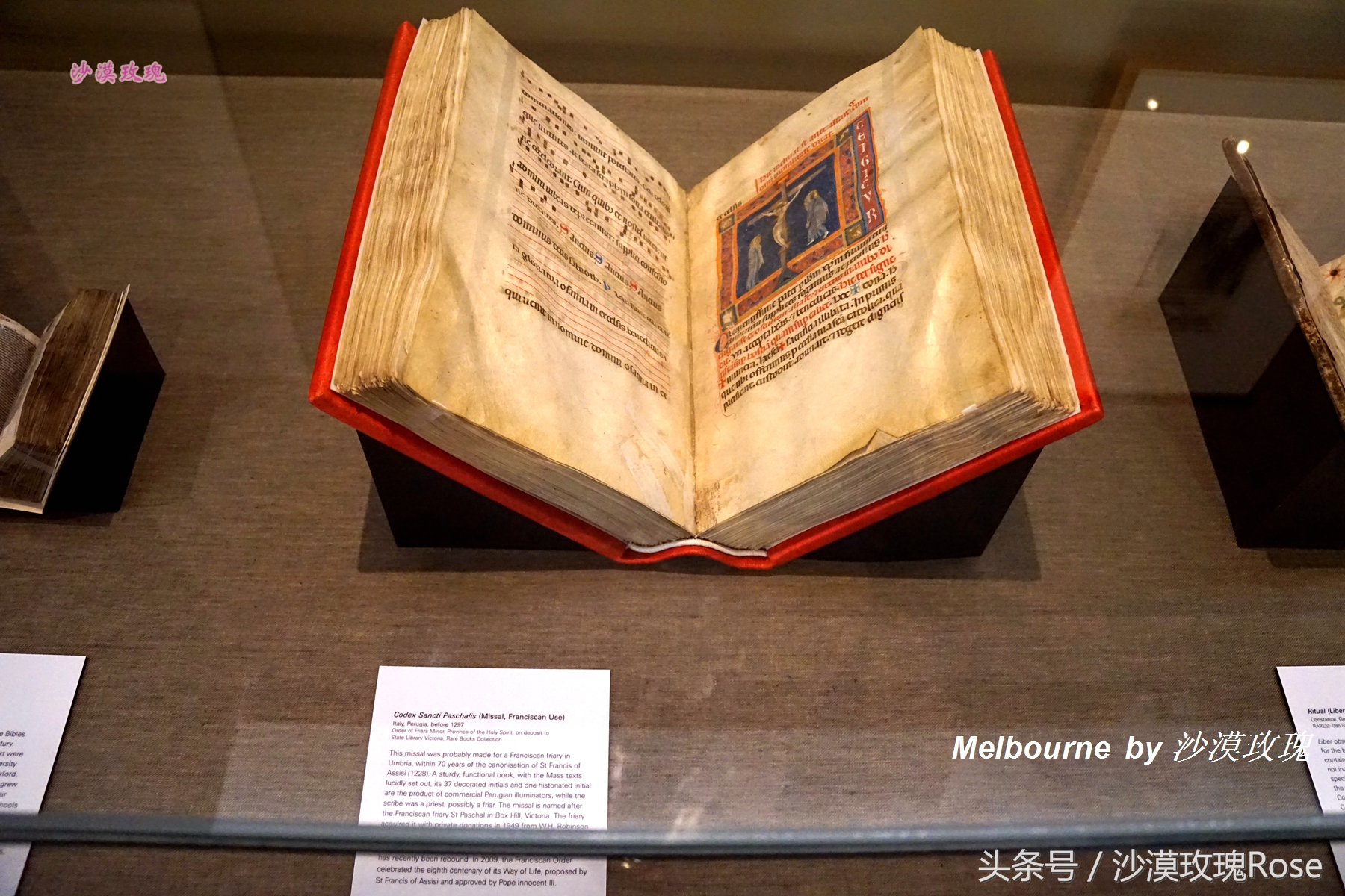 这座图书馆任何人都能够免费借阅，因何成了澳洲“网红”？