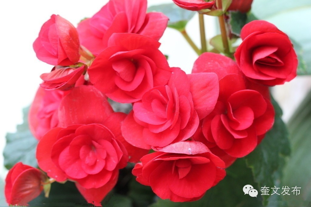 小手牵大手一同去郊游,小手拉着大手一起郊游