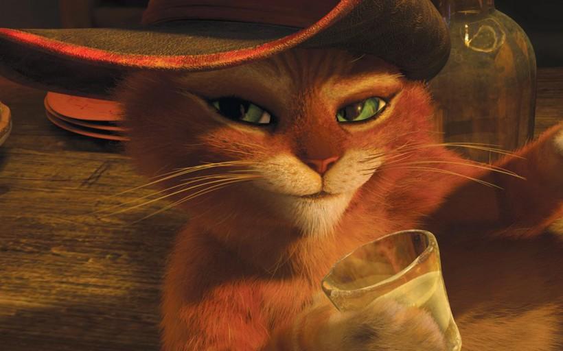 十部顶级喵星人动画片,猫咪动画片视频大全