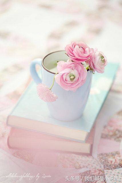 清风过晓一一穿越小说推荐第九波