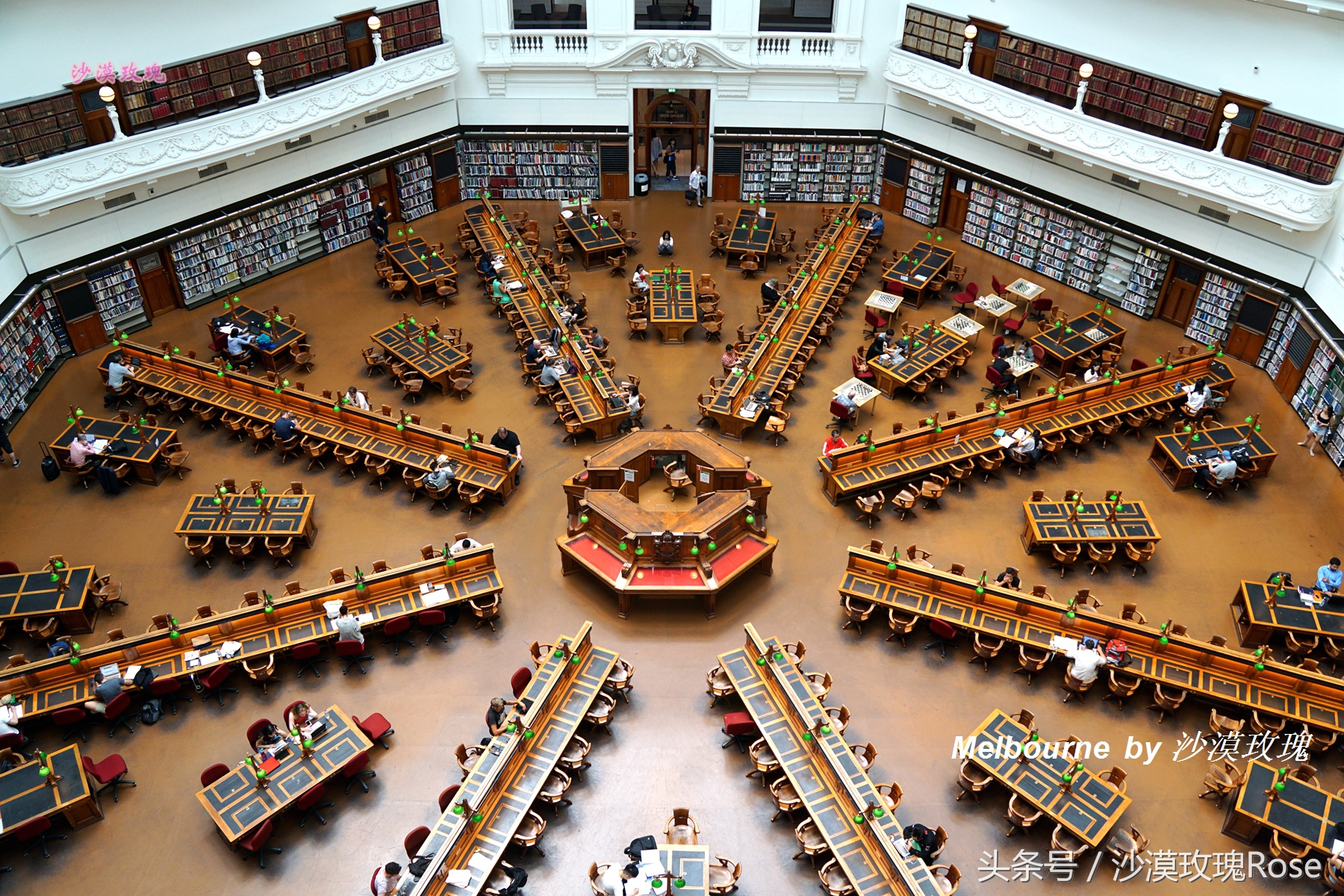 这座图书馆任何人都能够免费借阅，因何成了澳洲“网红”？