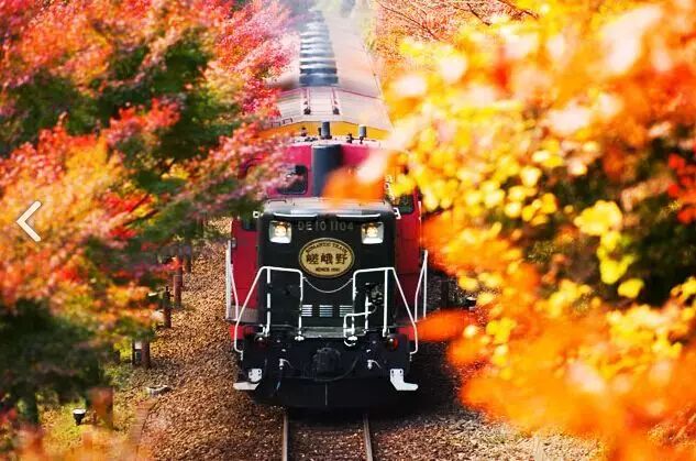京都岚山小火车旅游攻略,京都岚山枫叶攻略