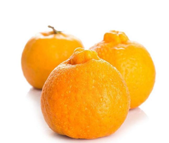 这6种进口水果，卖得一个比一个贵，普通人都快吃不起了！