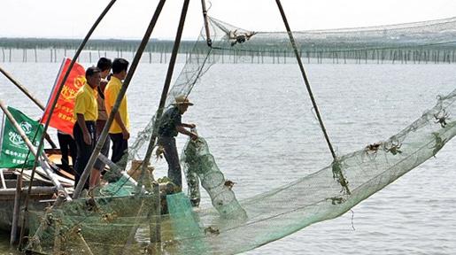 教你4步挑选大闸蟹,一分钟看懂大闸蟹