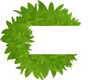 贴士想要A4腰？这里有超全中医饮食减肥法！