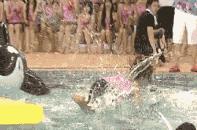 济宁小妮,爱逛商场的小姑娘