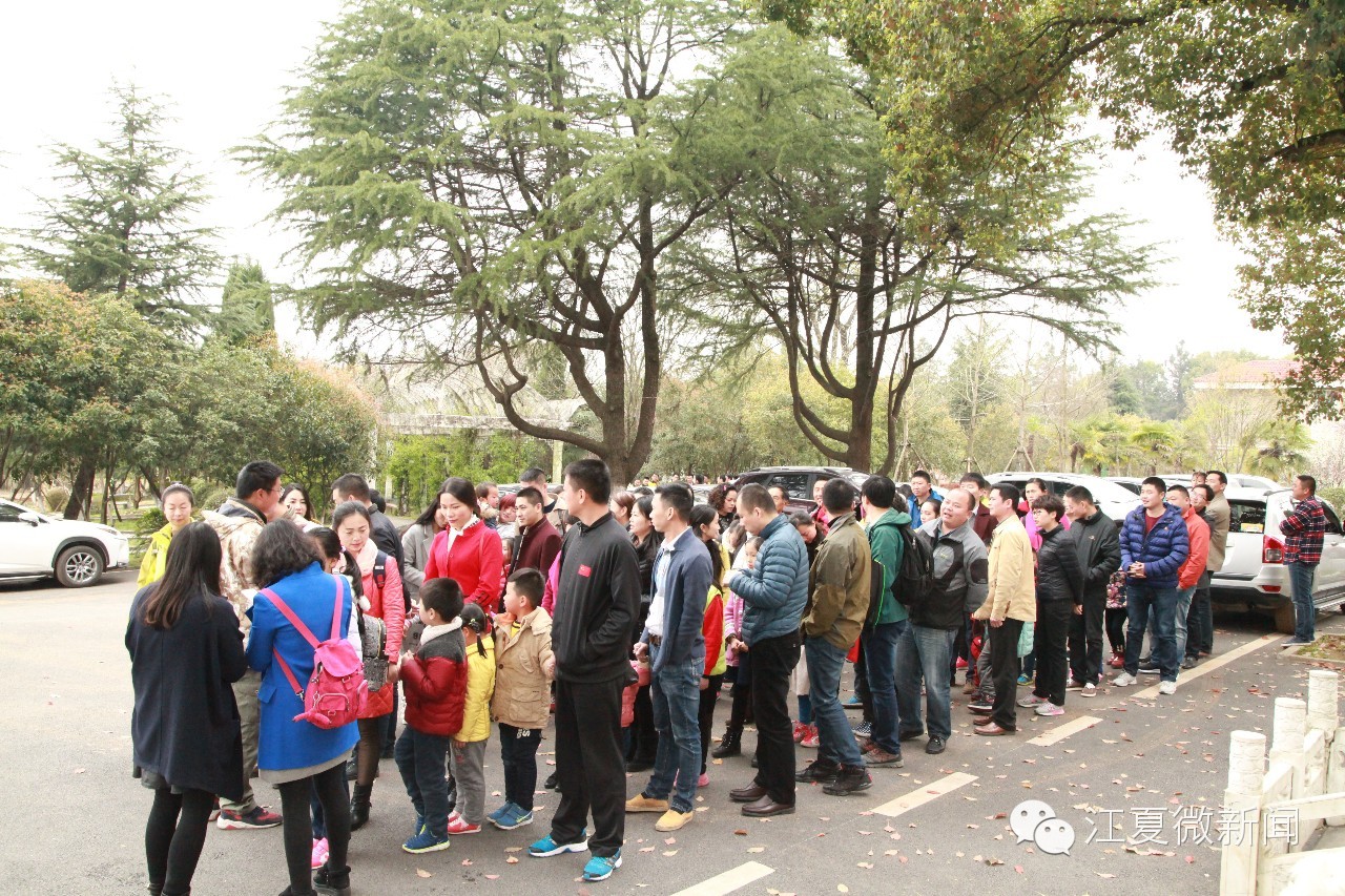 亲子植树活动信息,社区亲子植树活动