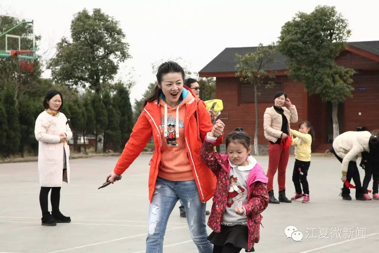 亲子植树活动信息,社区亲子植树活动