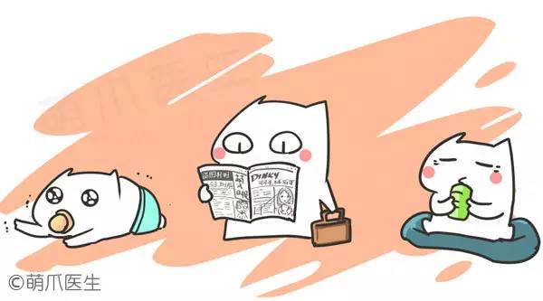 狗狗各类疫苗的区别,免疫接种疫苗种类