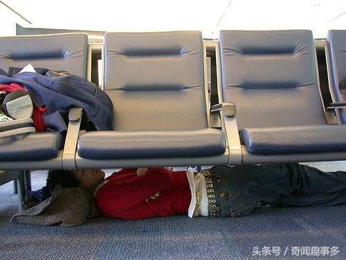 天王盖地虎，这tm真的一米吧，不过做她的猫真幸福