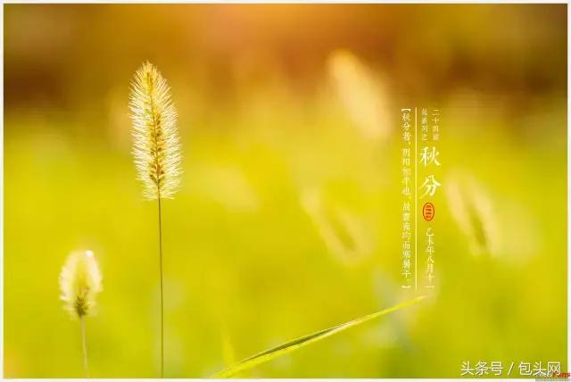 包头天气温差变化大吗,包头九月份气温是多少度