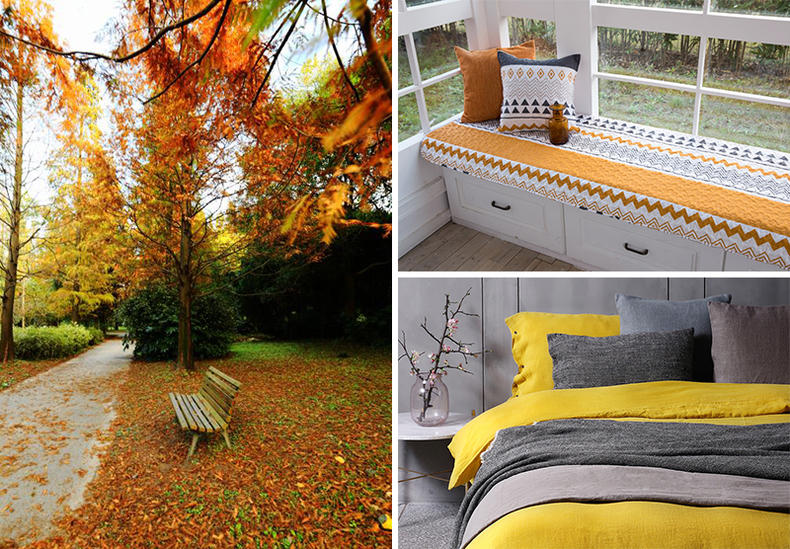 以秋色偎暖意，擅用理论饰潮家