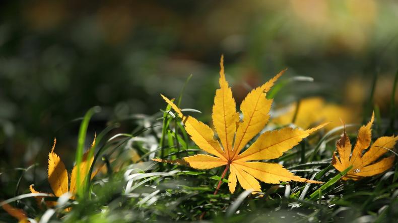以秋色偎暖意，擅用理论饰潮家