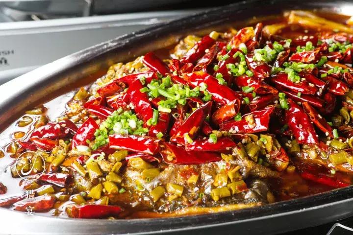 上海中山公园周末玩乐推荐,上海中山公园鱼