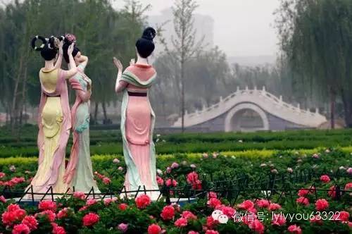 洛阳合适中学生好玩免费景点,洛阳各个景点的介绍