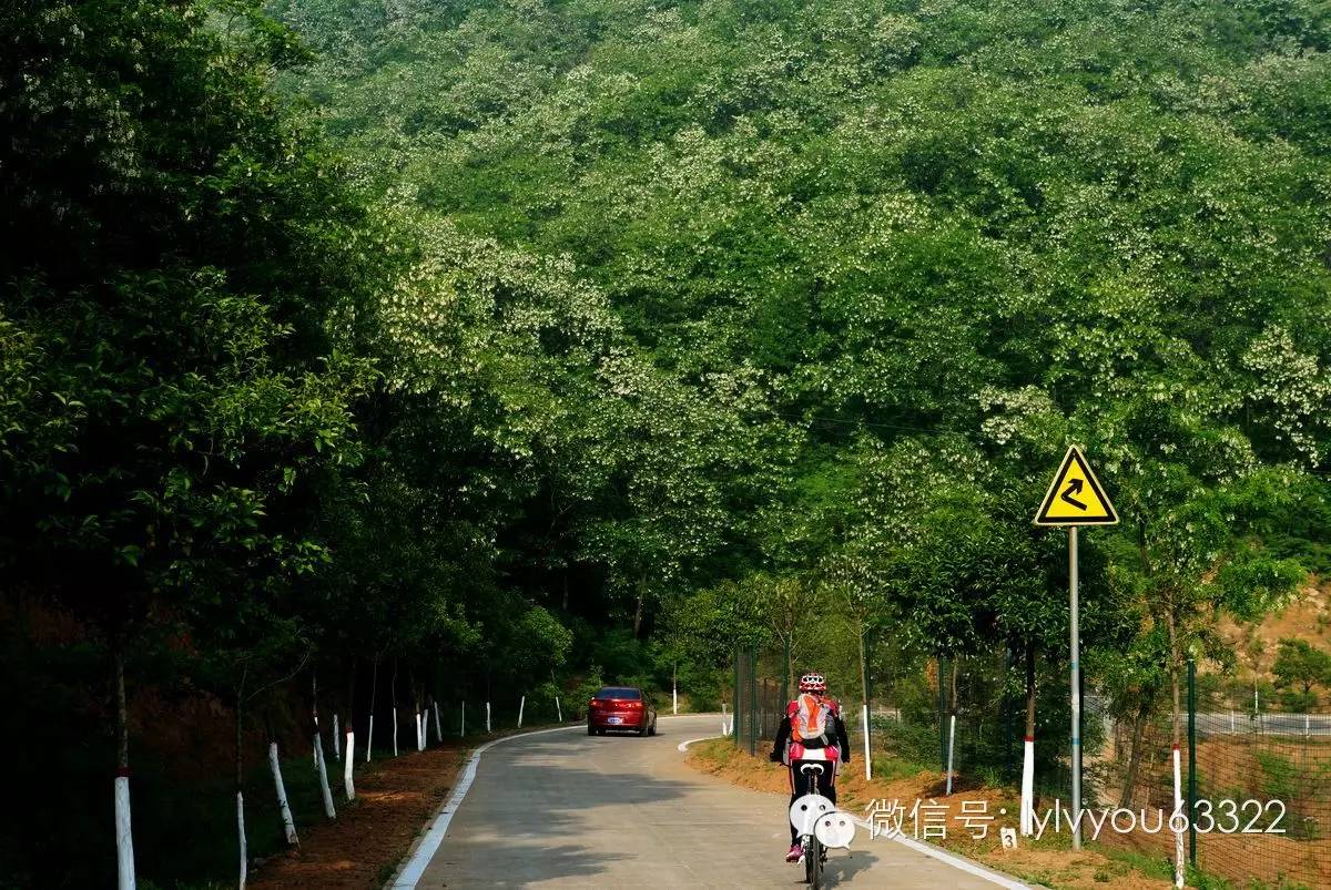 洛阳合适中学生好玩免费景点,洛阳各个景点的介绍