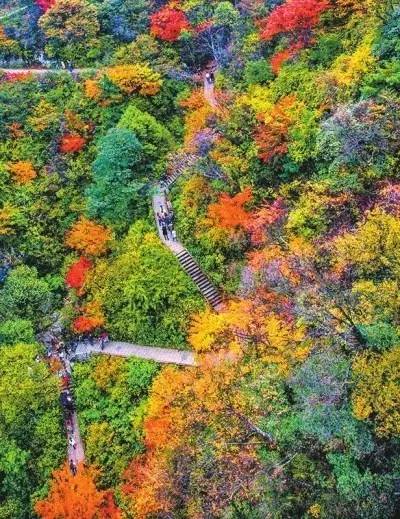 洛阳合适中学生好玩免费景点,洛阳各个景点的介绍