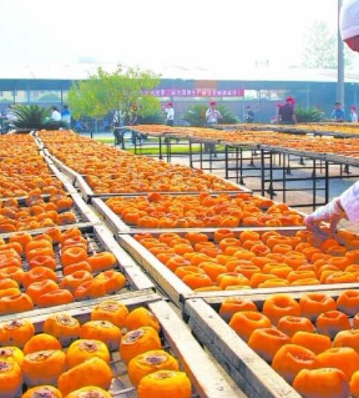 如何做好辞职转行准备,迷茫要不要辞职转行