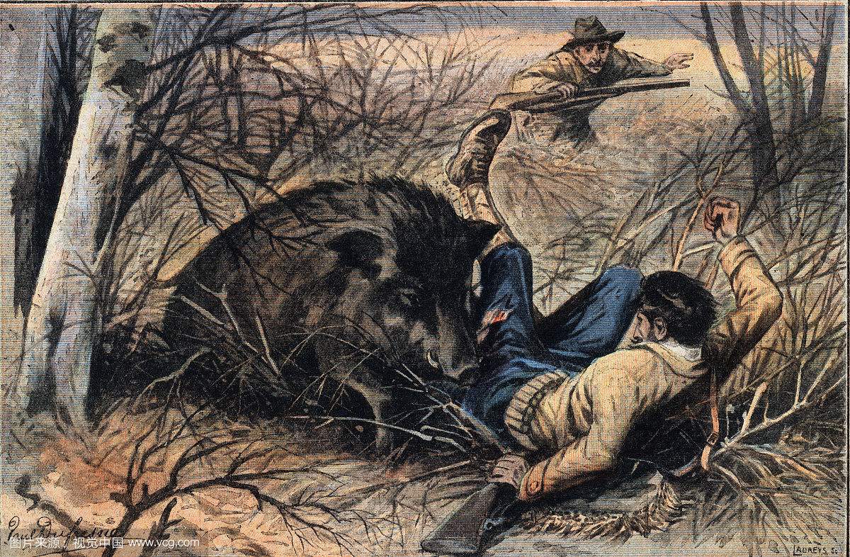 狗狗在山上救回来一只野猪,爱犬勇斗野猪