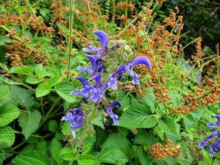 一个彻底根除荨麻疹的土方法,超详细的荨麻疹治疗方案