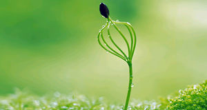 玩网游上瘾孩子该怎么教育,高中孩子游戏成瘾怎么办