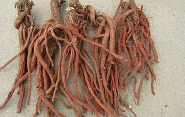 一个彻底根除荨麻疹的土方法,超详细的荨麻疹治疗方案