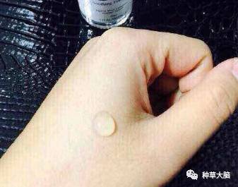 平价美白保湿精华,干性皮肤秋冬合适的保湿精华