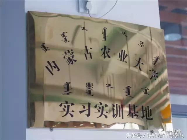 台湾修车大师坐阵打造一流流水线，呼和浩特这家汽修厂有啥特别？