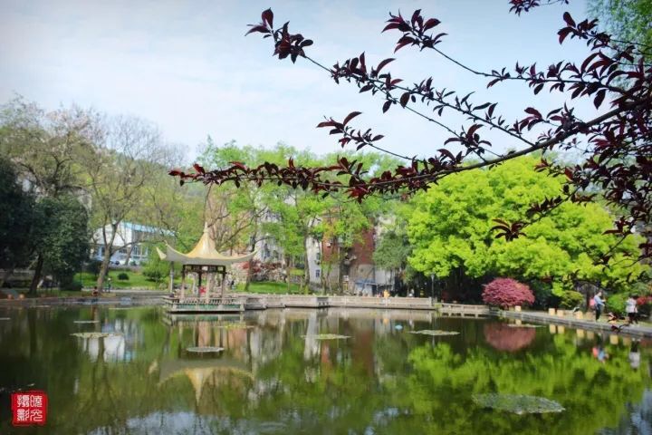 湖南省委书记点赞中南大学入选“双一流”，中国最美大学城还远吗