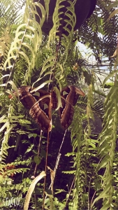 普吉岛清迈曼谷的游玩顺序亲子游,泰国清迈旅游团自由行