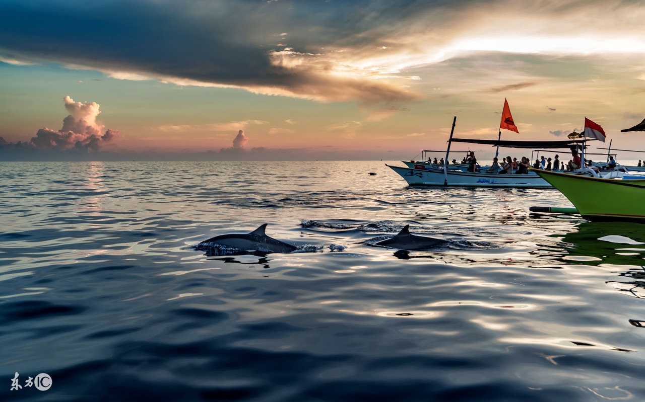 穿行马路上的车简笔画,穿行书写法