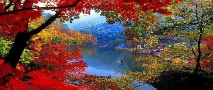 辽宁旅游十大必去景点有哪些,十一辽宁省内合适旅游的地方