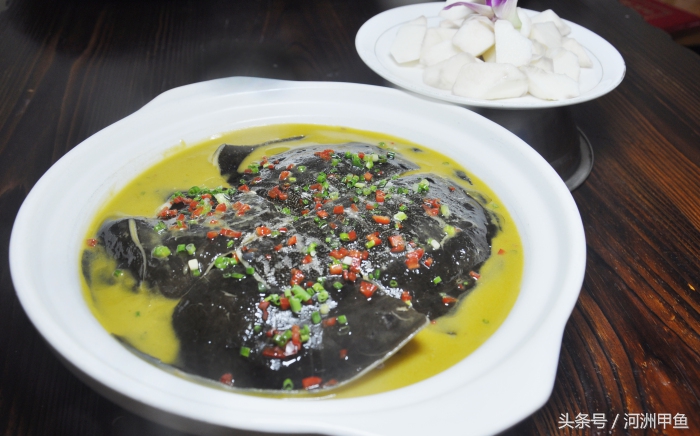 甲鱼菜品介绍术语,甲鱼菜品语言介绍