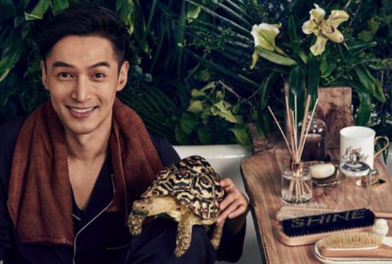 酒精能够治疗乌龟腐甲吗,腐甲腐皮的乌龟怎么治疗