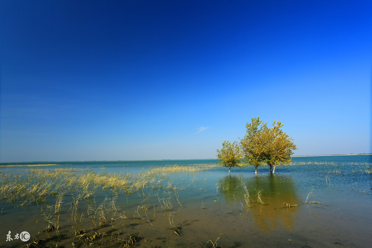 鲜衣怒马肆意江湖,红衣怒马快意江湖