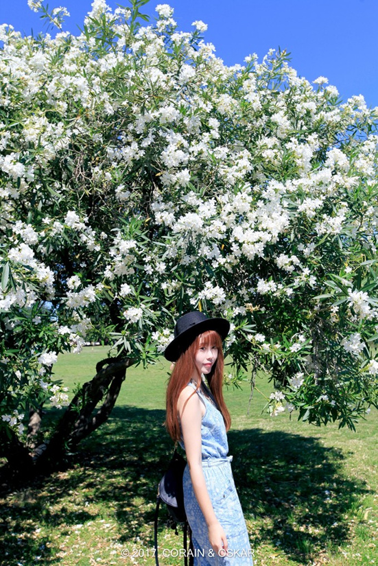 追逐落日葡萄牙的小火车+出国网络小攻略