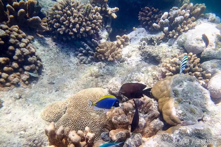 如何征战朋友圈？这个超洗眼睛的地方可落地签一周预算5K+