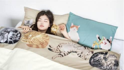 提升猫咪幸福感的东西,提升猫咪智商的玩具