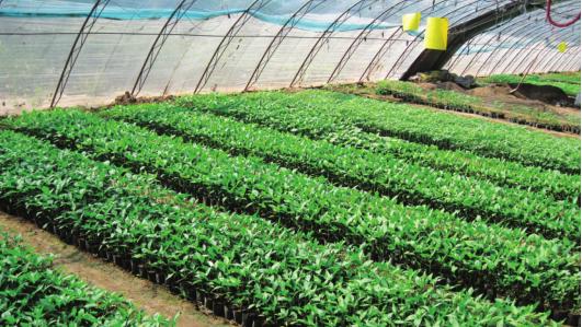 京郊采摘,秋天京郊采摘好去处