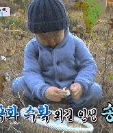 好看又高级的化妆包,日常必备高颜值化妆包