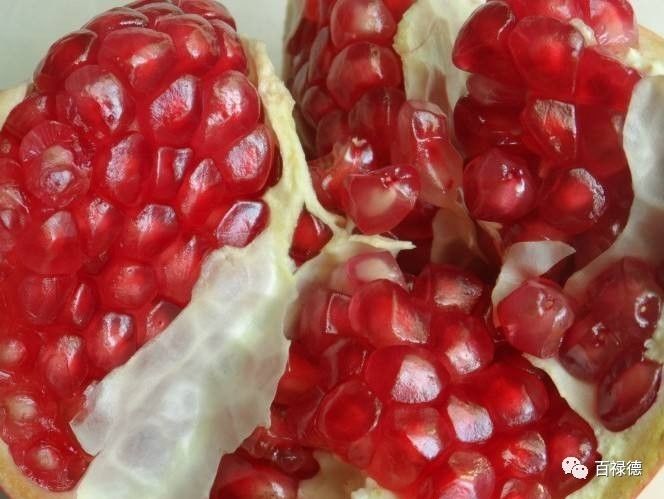 软籽石榴和硬籽石榴的区别是什么,软籽石榴和硬籽石榴有什么区别