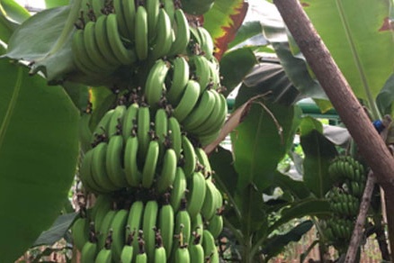 京郊采摘,秋天京郊采摘好去处