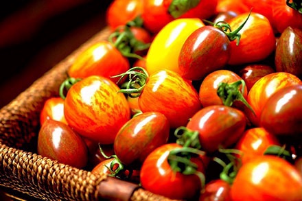 京郊采摘,秋天京郊采摘好去处