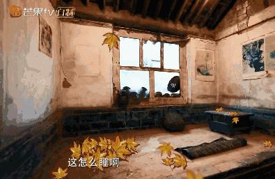 在“一言不合就停播”的综艺荒时代，有喜欢的综艺就第一时间看吧